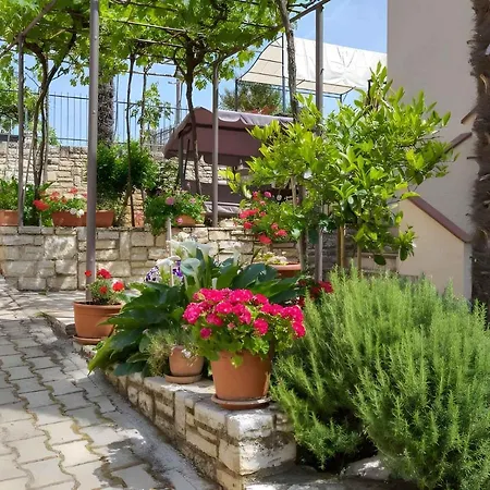 In Tar/porec - Istrien 42546 Apartment Tar-Vabriga